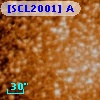 [SCL2001] A