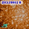 [SCL2001] B