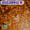 [SCL2001] D