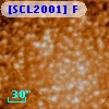 [SCL2001] F