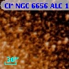 Cl* NGC 6656    ALC    1003