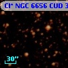 Cl* NGC 6656    CUD     313