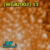 [WGB2002] 13