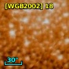 [WGB2002] 18