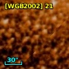 [WGB2002] 21