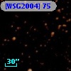 [WSG2004] 75