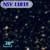 NSV 11018