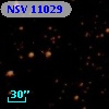 NSV 11029