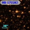HD 175502
