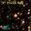V* V1231 Sgr