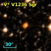 V* V1236 Sgr