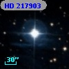 HD 217903