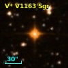 V* V1163 Sgr