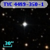 TYC 4489-350-1
