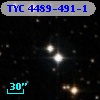 TYC 4489-491-1
