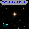 TYC 4489-893-1
