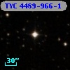 TYC 4489-966-1
