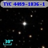 TYC 4489-1036-1