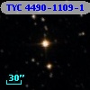 TYC 4490-1109-1