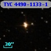 TYC 4490-1133-1