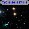 TYC 4490-1174-1