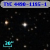 TYC 4490-1185-1