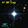 V* BF Cap