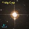 * sig Cap