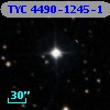 TYC 4490-1245-1