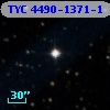 TYC 4490-1371-1