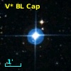 V* BL Cap