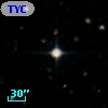 TYC 6335-1667-1