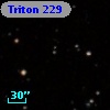 Triton 229