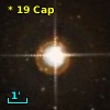 *  19 Cap