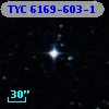 TYC 6169-603-1