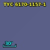 TYC 6170-1157-1