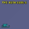 TYC 6174-1101-1