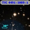 TYC 4491-1009-1