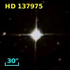HD 137975
