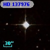 HD 137976