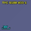 TYC 6188-833-1