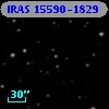 IRAS 15590-1829