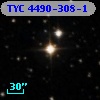 TYC 4490-308-1