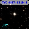 TYC 4487-1310-1