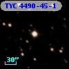 TYC 4490-45-1