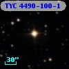 TYC 4490-100-1