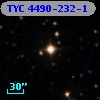 TYC 4490-232-1