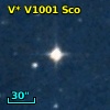 V* V1001 Sco