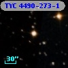 TYC 4490-273-1