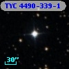 TYC 4490-339-1